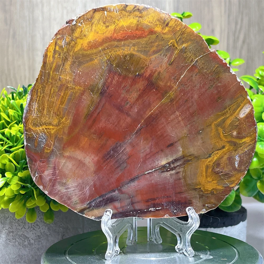 Crystal Natural Woodstone Stone Quartz Xylopal Carving l Minerals Specimen Geode Energy Home Decoration Reiki Healing Gemstone+S
Crystal Natural Woodstone Stone Quartz Xylopal Carving l Minerals Specimen Geode Energy Home Decoration Reiki Healing Gemstone+S