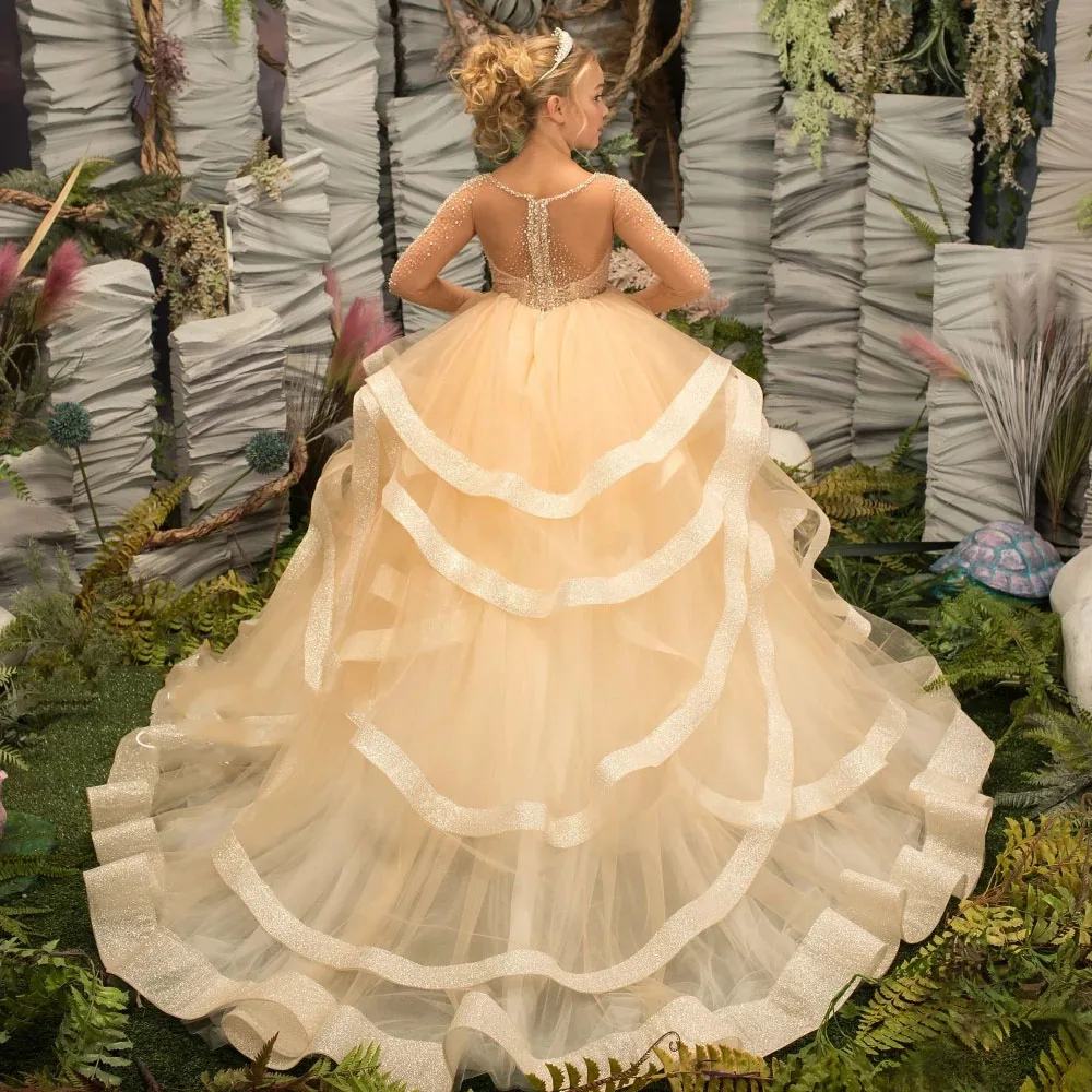 Glitter Flower Girl Dress Tulle Applique Full Sleeve Sequins Layered For Wedding Child First Eucharistic Birthday Party Dresses
Glitter Flower Girl Dress Tulle Applique Full Sleeve Sequins Layered For Wedding Child First Eucharistic Birthday Party Dresses
