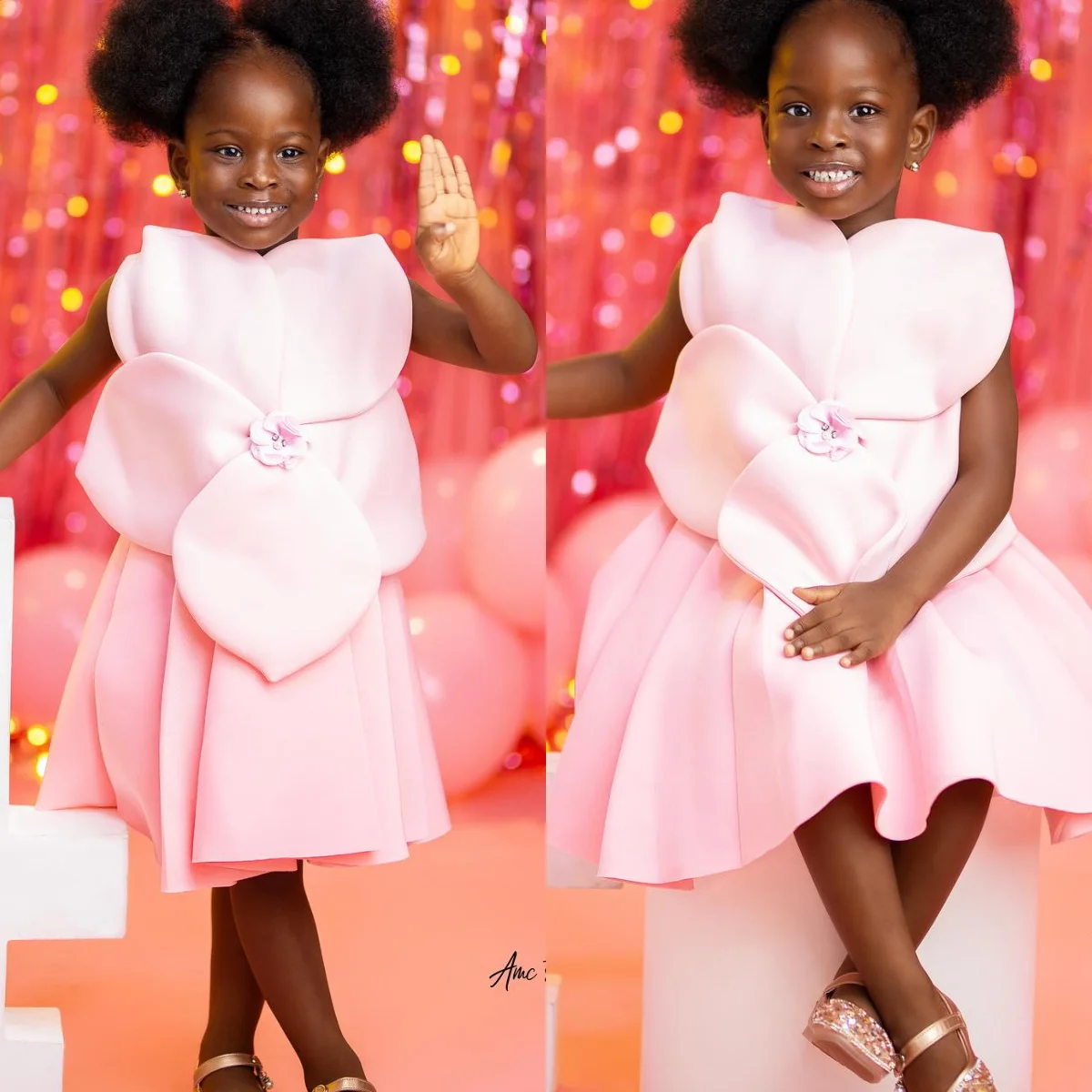 Blush Pink 3D Flower Girl Dresses Customized Kids Princess Birthday Party Gowns Litter Girl's PhotoShoot Dress
Blush Pink 3D Flower Girl Dresses Customized Kids Princess Birthday Party Gowns Litter Girl's PhotoShoot Dress