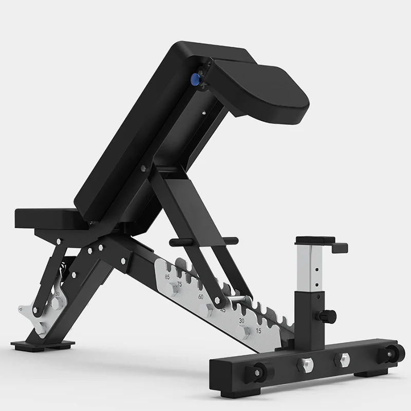 Adjustable Home Gym Exercise Bench with Dumbbells Portable Metal Foldable Design Safety Features
Adjustable Home Gym Exercise Bench with Dumbbells Portable Metal Foldable Design Safety Features