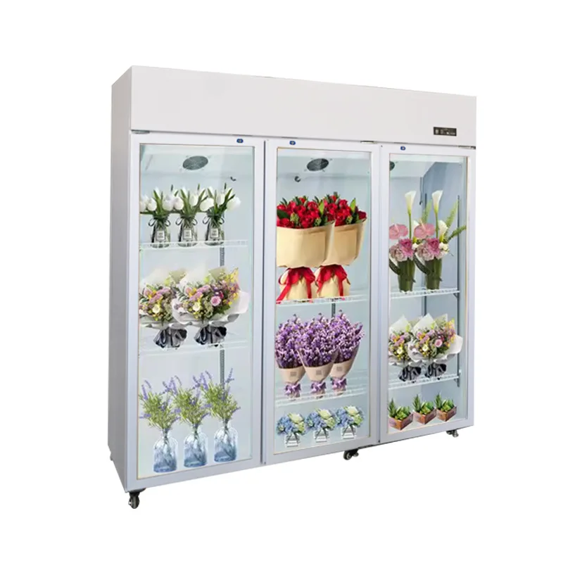 2026 Single/Double/Triple Door Air-Cooled Frost-Free Flower Display Chiller, Fresh Bouquet Preservation Refrigerated Showcase
2026 Single/Double/Triple Door Air-Cooled Frost-Free Flower Display Chiller, Fresh Bouquet Preservation Refrigerated Showcase