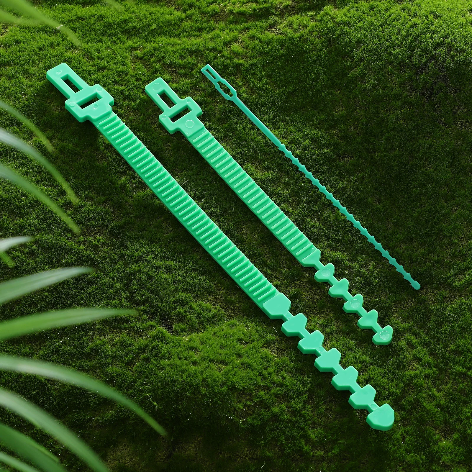 18pcs Tree Straps for Staking Tie Strap Puller Supports Rubber Binding Straps Plant Cage Gardening Tool Durable Plastic
18pcs Tree Straps for Staking Tie Strap Puller Supports Rubber Binding Straps Plant Cage Gardening Tool Durable Plastic