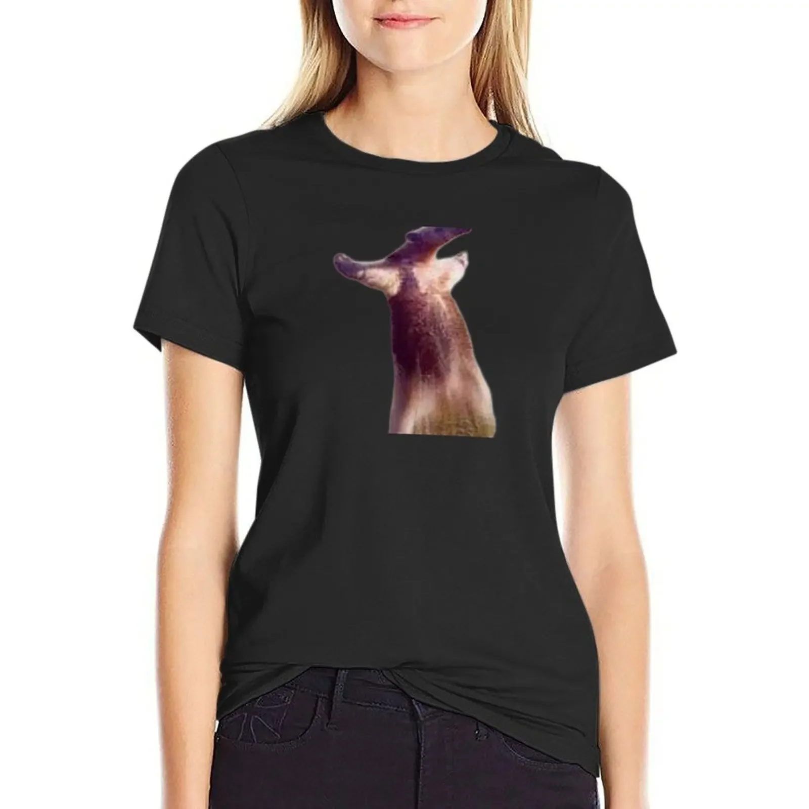 Anteater Defense Memes T-Shirt quick drying vintage clothes tops plain t shirts for Women
Anteater Defense Memes T-Shirt quick drying vintage clothes tops plain t shirts for Women