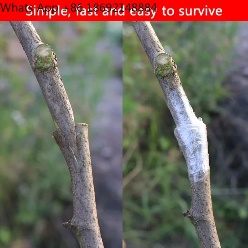 Fruit tree seedling grafting shears J60 new grafting machine multi-functional professional grafting knife holder
Fruit tree seedling grafting shears J60 new grafting machine multi-functional professional grafting knife holder
