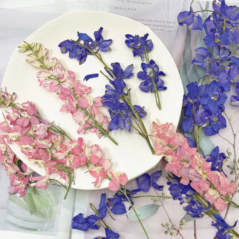 60Pcs Colorful Dried Flower Specimens with Branches and Flowers, DIY Resin Table Lamp, Candle, Nail Art, Envelope, Photo Frame, Pressed Flower Material Kit
60Pcs Colorful Dried Flower Specimens with Branches and Flowers, DIY Resin Table Lamp, Candle, Nail Art, Envelope, Photo Frame, Pressed Flower Material Kit