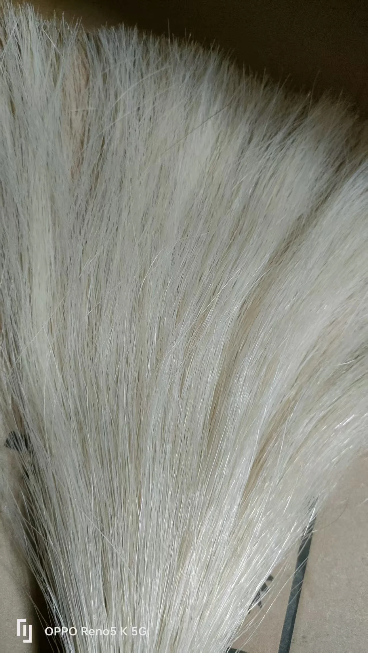 100 Grams High Quality Violin Bow Hair 76 to 78cm Stallion Horse Tail Hair
100 Grams High Quality Violin Bow Hair 76 to 78cm Stallion Horse Tail Hair
