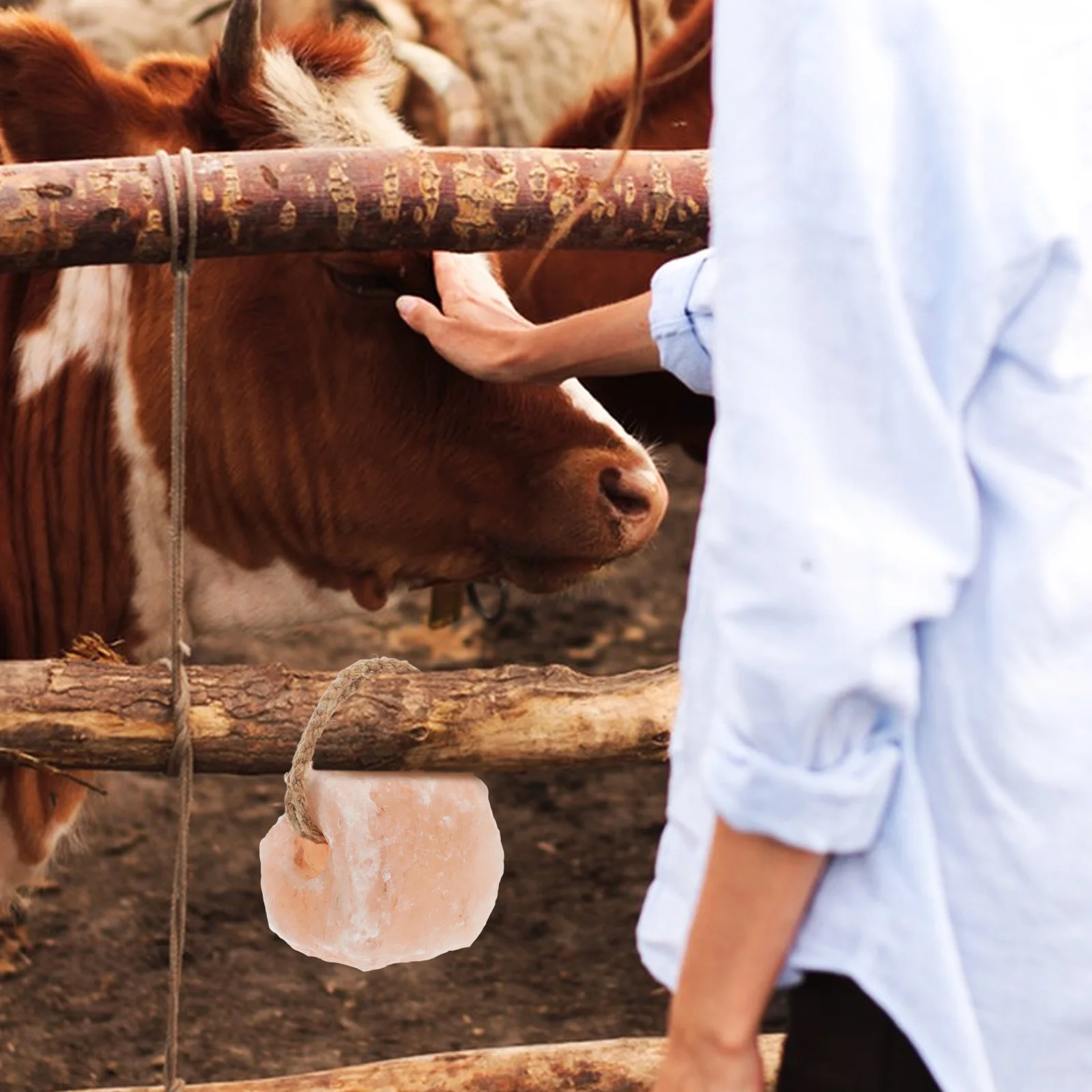 1-2Kg Salt Brick For Animals Licking Rich Minerals Trace Elements Durable Hanging Block For Sheep Cattle Horses Farm Supply Pets
1-2Kg Salt Brick For Animals Licking Rich Minerals Trace Elements Durable Hanging Block For Sheep Cattle Horses Farm Supply Pets