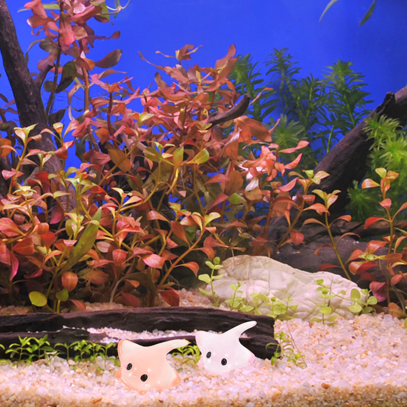 20Pcs Mini Resin Devil Fish Ornament Lifelike Sea Creature Decor for Aquarium Micro Landscape Ocean Theme Tank Accessories
20Pcs Mini Resin Devil Fish Ornament Lifelike Sea Creature Decor for Aquarium Micro Landscape Ocean Theme Tank Accessories