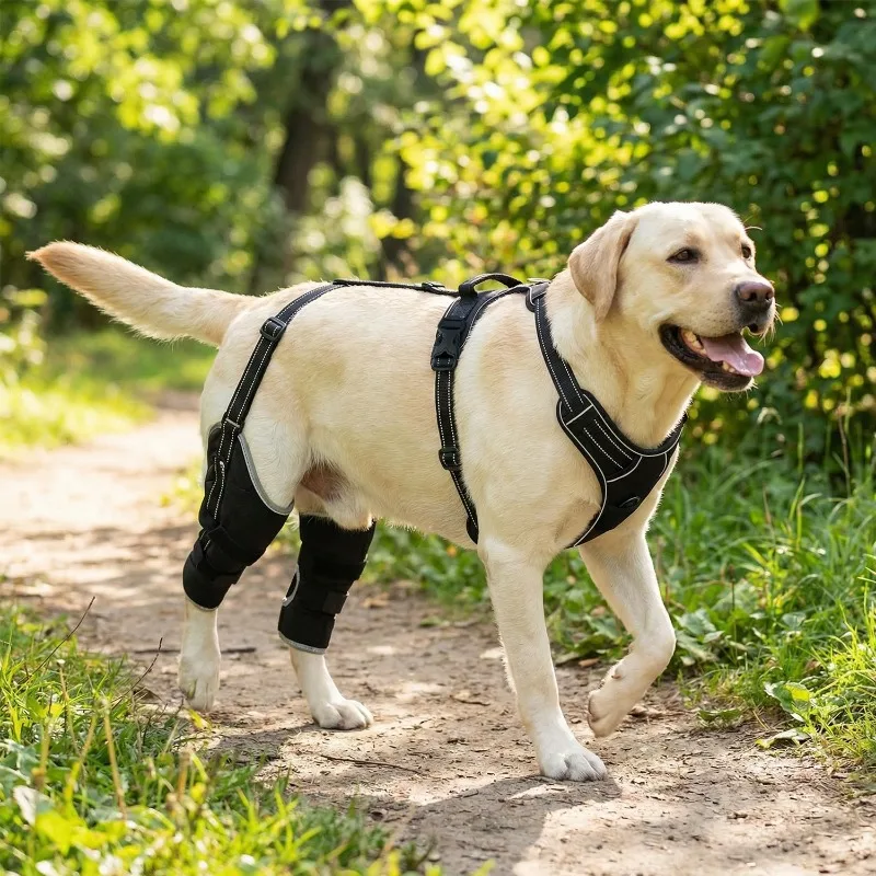 Reduces Pain Hind Leg Dog Leg Brace Auxiliary Belt Dog Leg Protectors ACL Brace Support Dog Knee Rehabilitation Belt
Reduces Pain Hind Leg Dog Leg Brace Auxiliary Belt Dog Leg Protectors ACL Brace Support Dog Knee Rehabilitation Belt