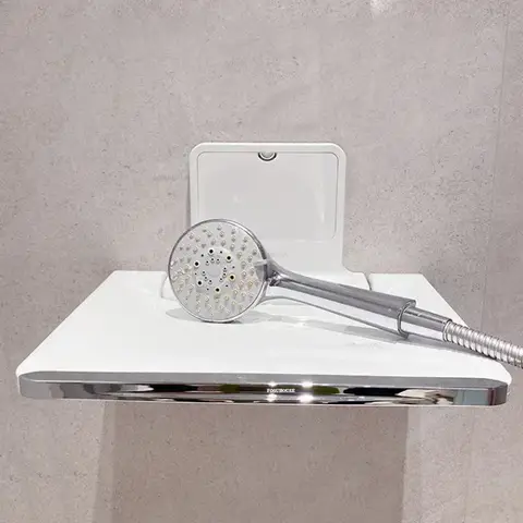 Toilet Barrier-free Bath Chair Home Foldable Plastic Shoe Changing Stool Light Luxury Wall-mounted Bathroom Seats Shower Chair L