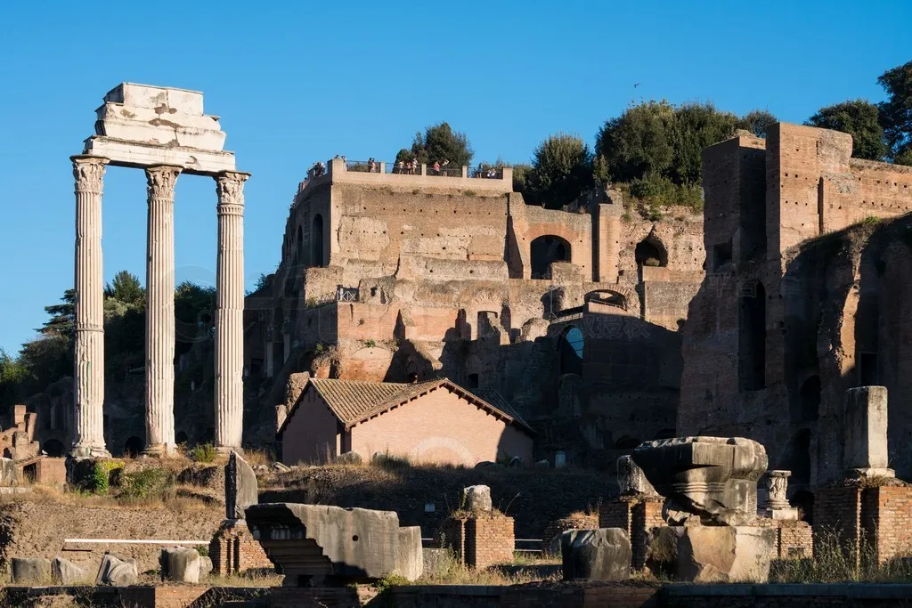 Front and Rear Metal Axle Housing for 1/8 YK4081 4082 4083 Absima Sherpa RC Car Upgrade Spare Parts
Front and Rear Metal Axle Housing for 1/8 YK4081 4082 4083 Absima Sherpa RC Car Upgrade Spare Parts