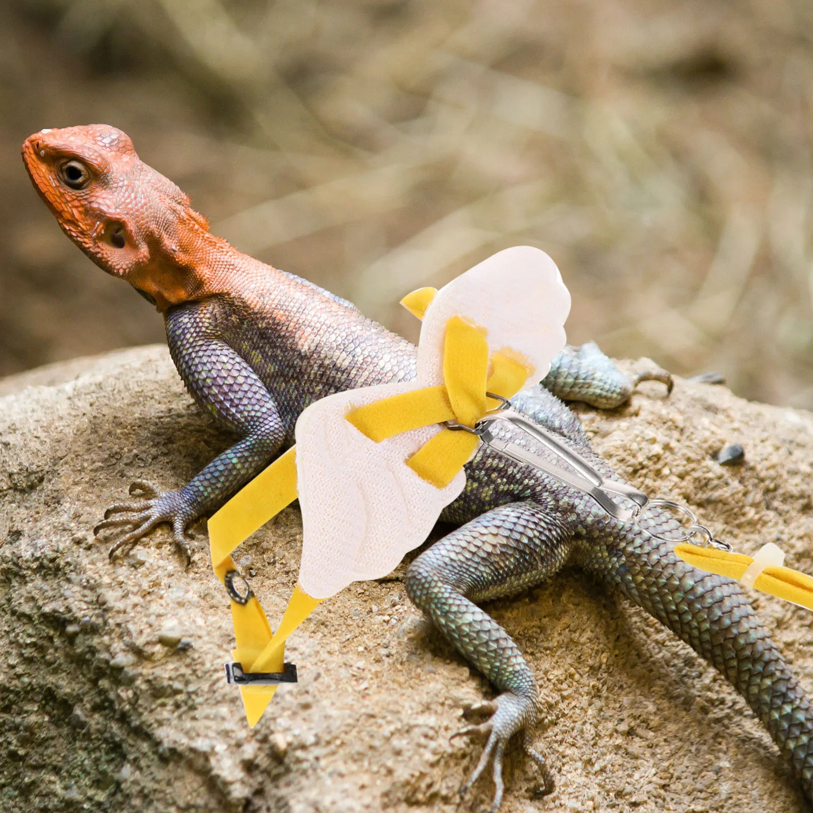 Lizard Walking Rope Durable Harness Outdoor Strap Polyester Tow Reptiles Traction Small Pet Hauling Lizard Pulling leash
Lizard Walking Rope Durable Harness Outdoor Strap Polyester Tow Reptiles Traction Small Pet Hauling Lizard Pulling leash