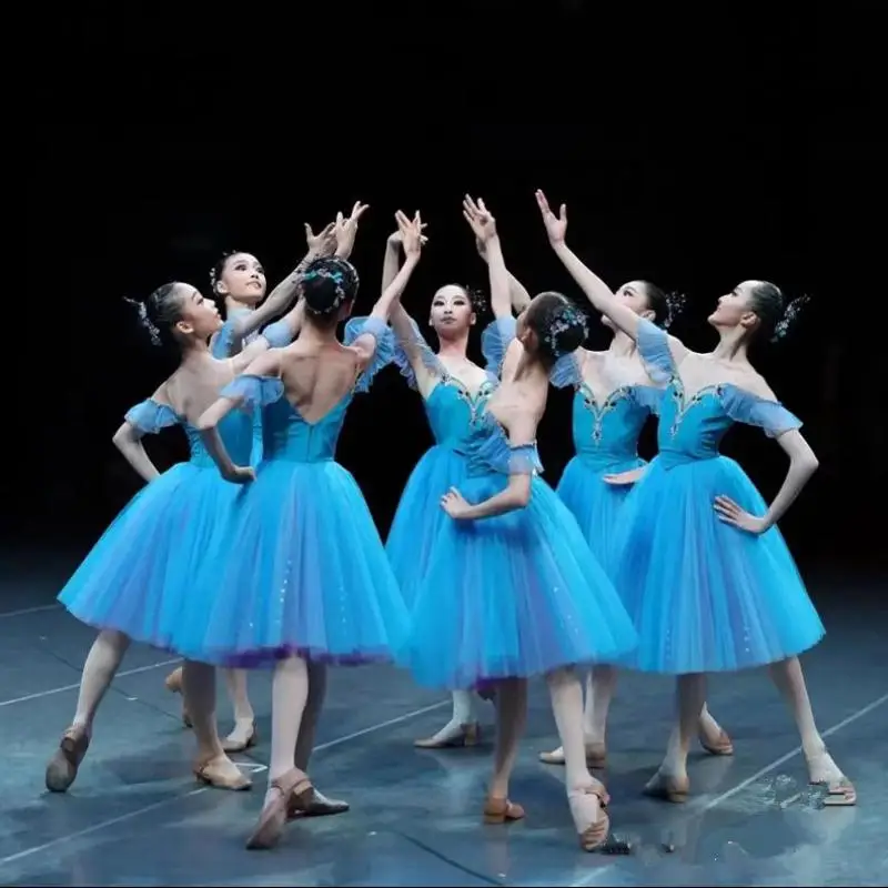 Long Romantic Ballet Tutu Blue Ballet Dress Performance Clothes Swan Lake Ballerine Femme Children Girls Fairy Ballet Costume
Long Romantic Ballet Tutu Blue Ballet Dress Performance Clothes Swan Lake Ballerine Femme Children Girls Fairy Ballet Costume