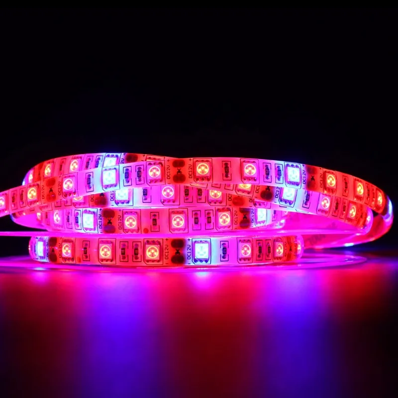 5M 12V 5050 LED Strip Phyto Plant Grow Lamps Full Spectrum 60LEDs/m Fitolampy Grow Lights For Greenhouse Hydroponic plant
5M 12V 5050 LED Strip Phyto Plant Grow Lamps Full Spectrum 60LEDs/m Fitolampy Grow Lights For Greenhouse Hydroponic plant