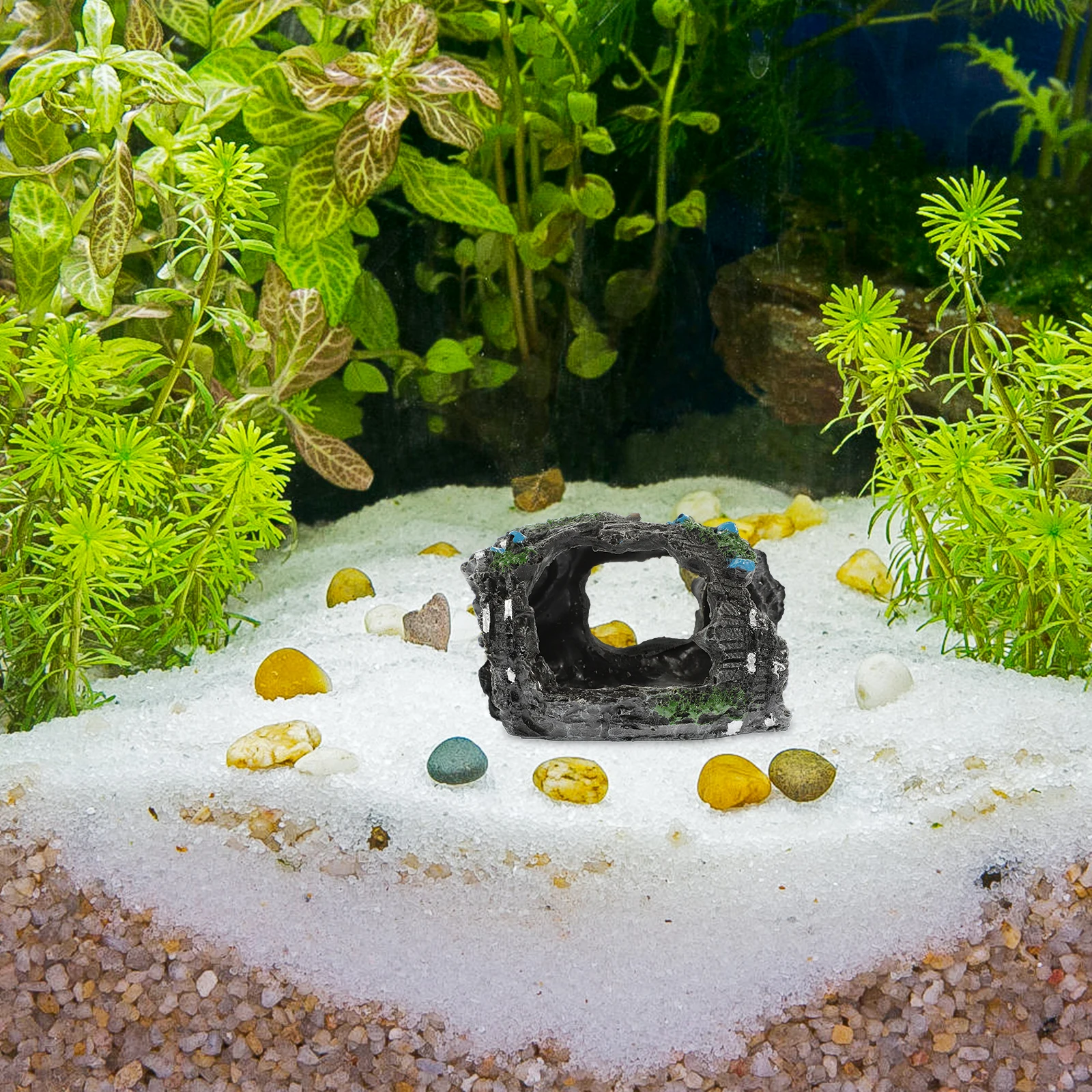 Fish Tank Decorations Lifelike Aquarium Hidden Cave Resin Wear-Resistant Delicate Ornament for Betta Fish Creative Shelter Home
Fish Tank Decorations Lifelike Aquarium Hidden Cave Resin Wear-Resistant Delicate Ornament for Betta Fish Creative Shelter Home