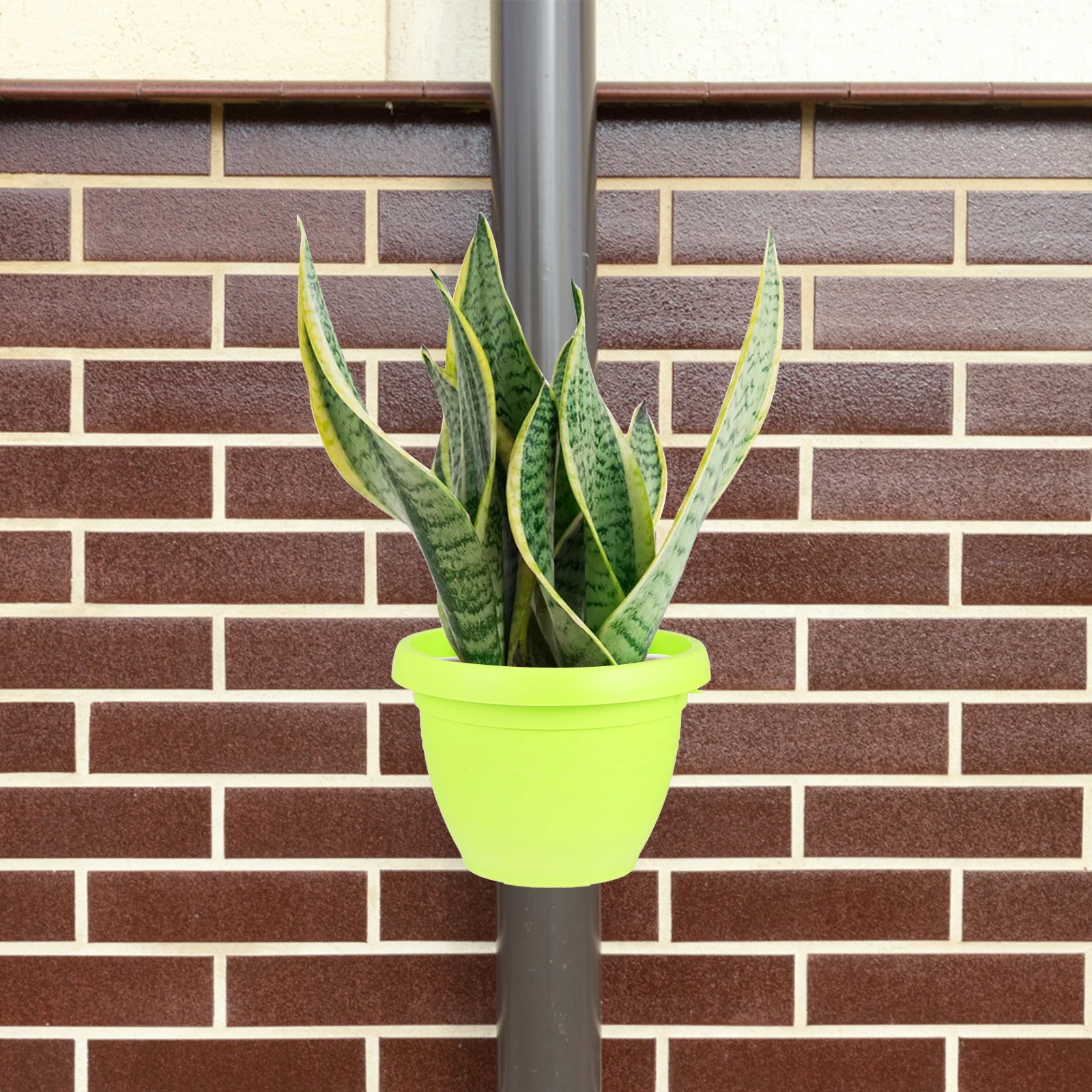 Downpipe Type Flower Pot Thickened Storage Basket Hanging Planter Durable Lightweight Garden Bathroom Plant Holder
Downpipe Type Flower Pot Thickened Storage Basket Hanging Planter Durable Lightweight Garden Bathroom Plant Holder