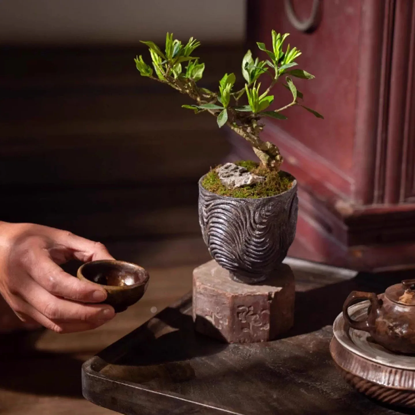 Medieval resin flower pot designer household potted flower device balcony creative flower stand desktop simple niche vase
Medieval resin flower pot designer household potted flower device balcony creative flower stand desktop simple niche vase