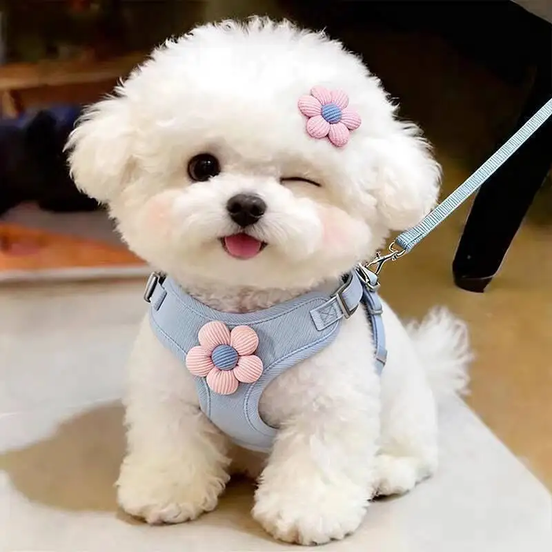 Cat Harness and Leash Sets Adjustable Dog Harness for Small Dog Leash Breashable Pet Harness Out Walking Dog Strap Accessories
Cat Harness and Leash Sets Adjustable Dog Harness for Small Dog Leash Breashable Pet Harness Out Walking Dog Strap Accessories