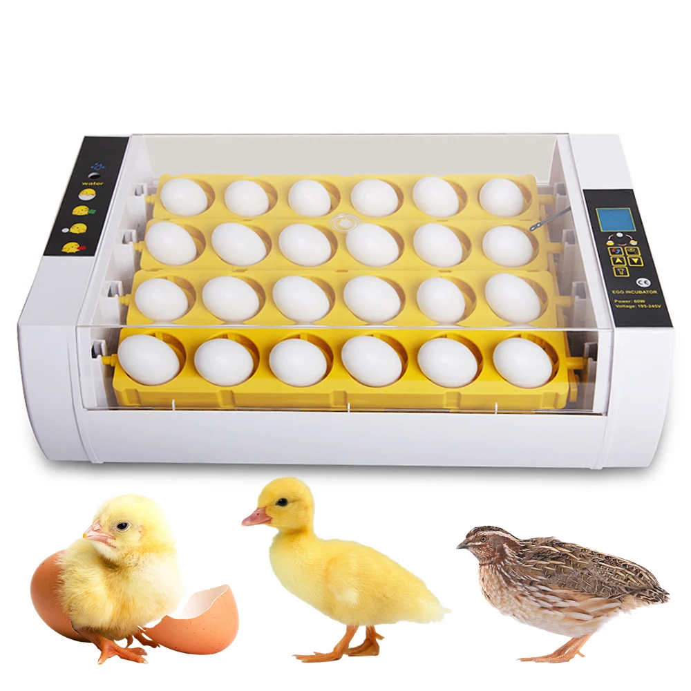 24 Eggs Incubator with Auto Egg Turning Humidity Control and Egg Candler Light Chick Cozy Incubator Hatching Chicken Quail Duck
24 Eggs Incubator with Auto Egg Turning Humidity Control and Egg Candler Light Chick Cozy Incubator Hatching Chicken Quail Duck