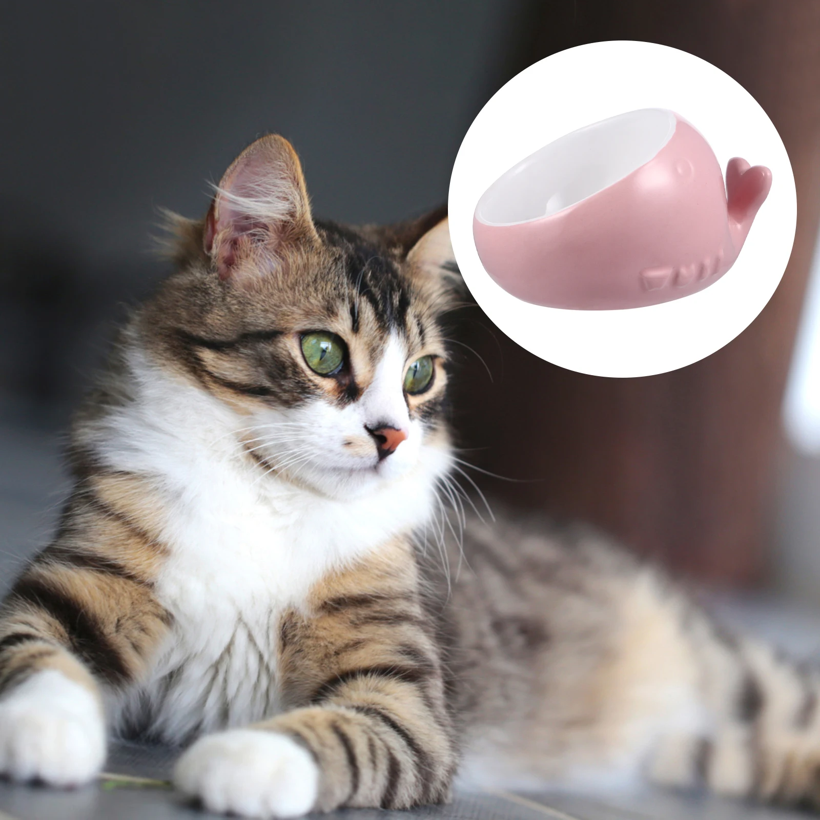 Whale Shaped Ceramic Cat Pink Easy Cleaning Durable Pet Supplies Water Food Unique Design Safe Environmentally Friendly Deep
Whale Shaped Ceramic Cat Pink Easy Cleaning Durable Pet Supplies Water Food Unique Design Safe Environmentally Friendly Deep