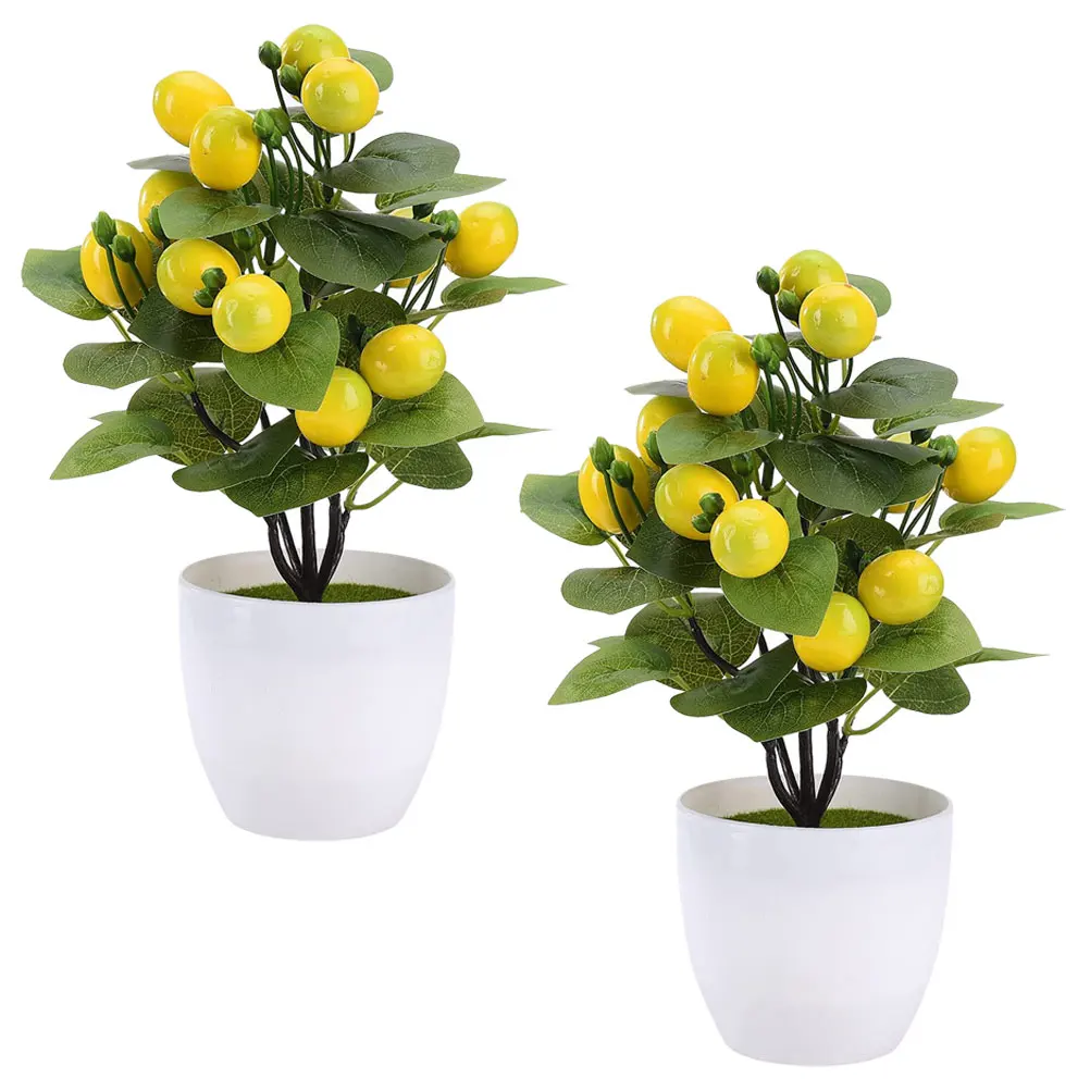 2 Pcs Bonsai Mini Lemon Tree Potted Plant Simulation Fruit Plants Decorations Office Indoor
2 Pcs Bonsai Mini Lemon Tree Potted Plant Simulation Fruit Plants Decorations Office Indoor