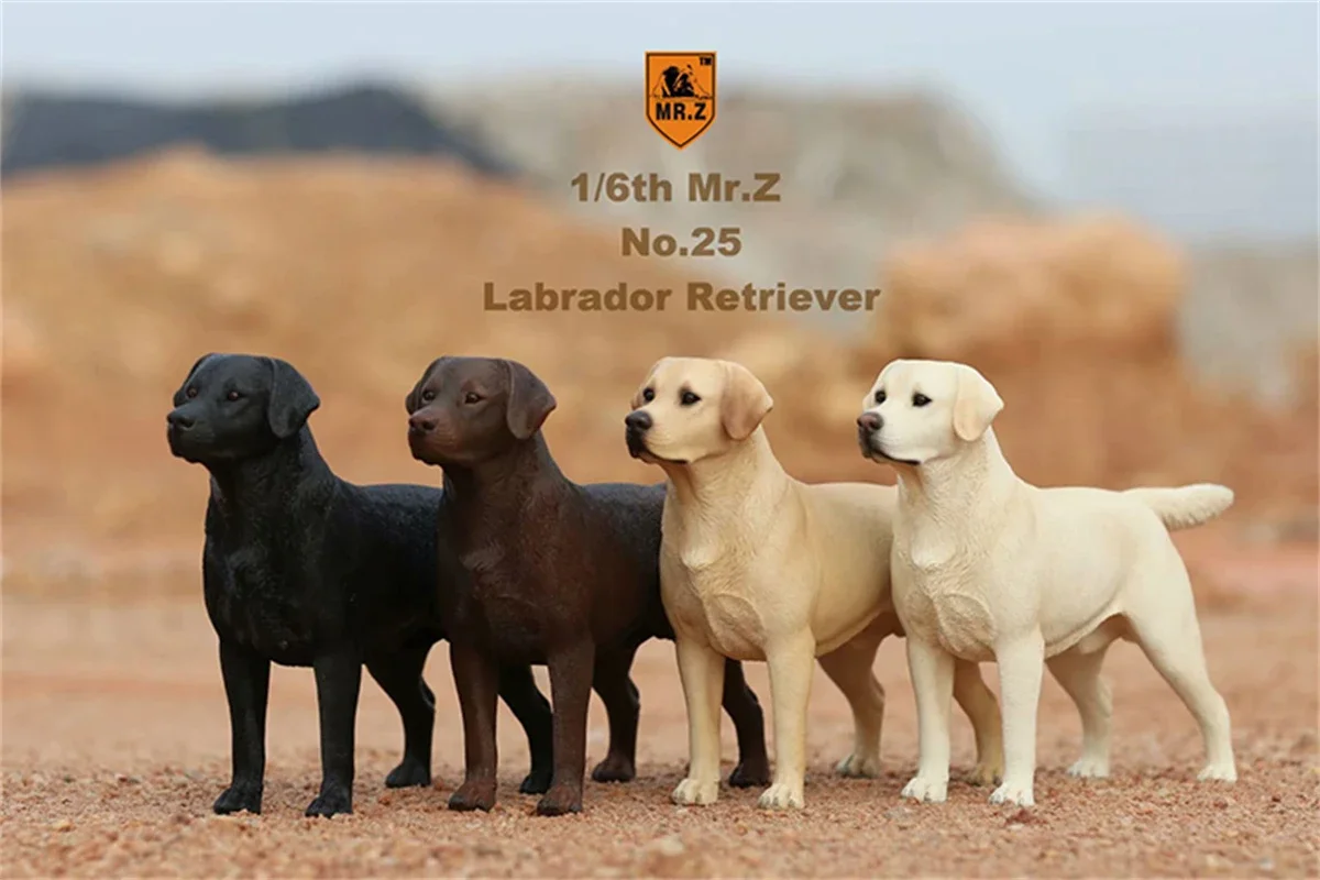Mr.Z Studio 1:6 Labrador Retriever Loyal Dog Pet Figure Animal Decor Model Toy Kid Gift Play Peripheral Ornaments Decoration
Mr.Z Studio 1:6 Labrador Retriever Loyal Dog Pet Figure Animal Decor Model Toy Kid Gift Play Peripheral Ornaments Decoration