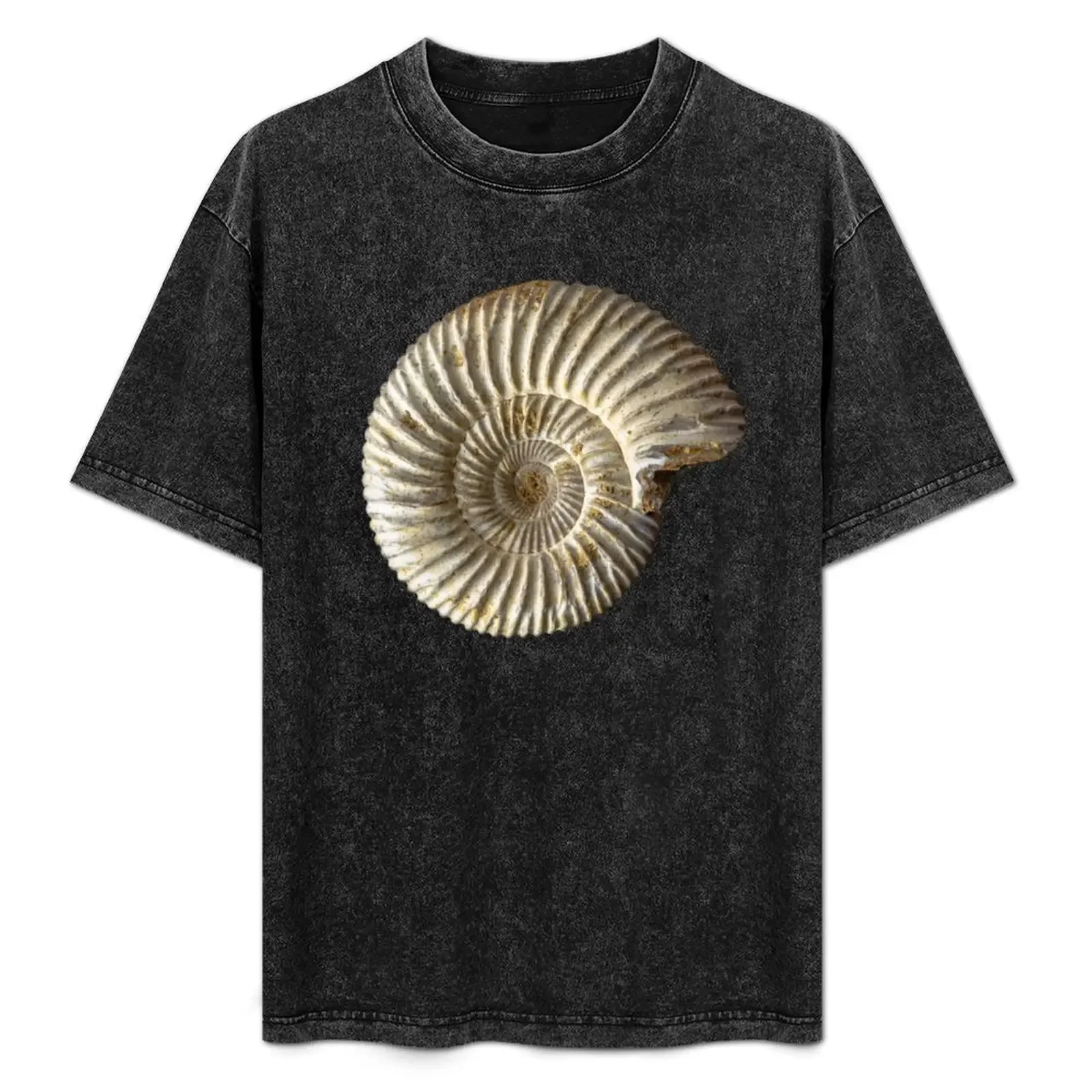 Ammonite shell fossil T-Shirt Aesthetic clothing designer shirts oversized graphic tee blue lock heavyweight t shirts for men
Ammonite shell fossil T-Shirt Aesthetic clothing designer shirts oversized graphic tee blue lock heavyweight t shirts for men