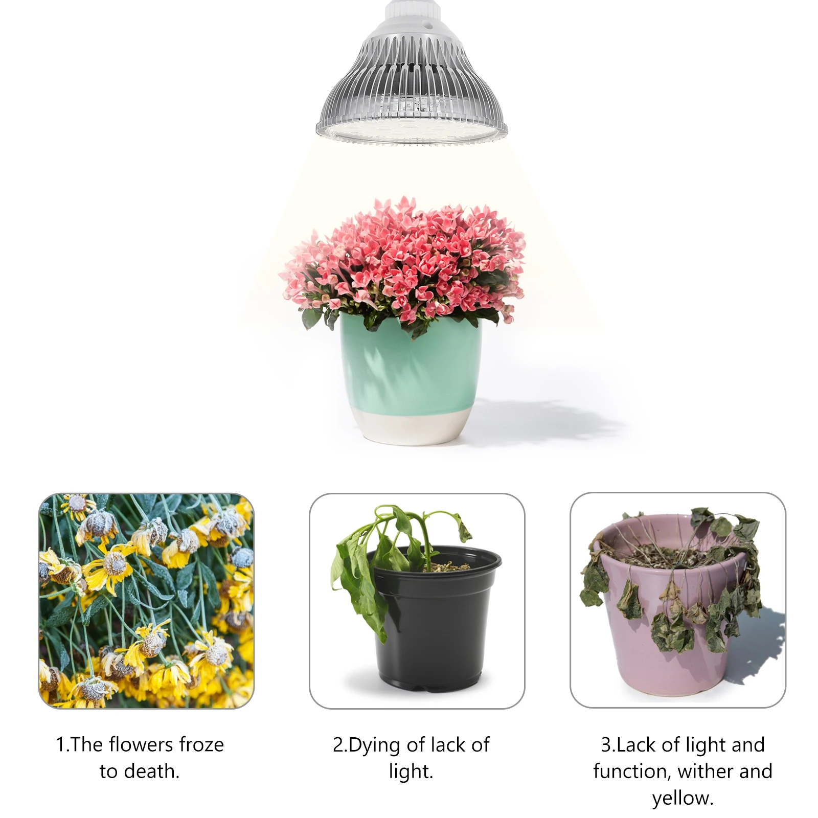 15W LED Grow Light Plant Lamp for Indoor Greenhouse Succulents Low Heat Energy Saving Sunlight Supplement Fast
15W LED Grow Light Plant Lamp for Indoor Greenhouse Succulents Low Heat Energy Saving Sunlight Supplement Fast