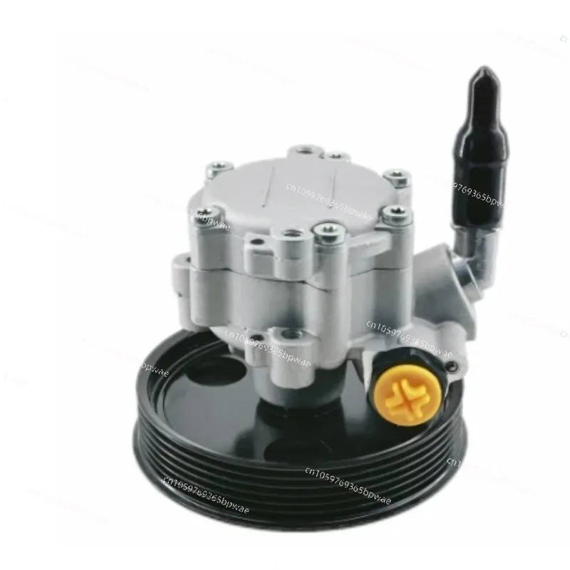 49110-5510R Automotive Power Steering Pump for 491105510R
49110-5510R Automotive Power Steering Pump for 491105510R