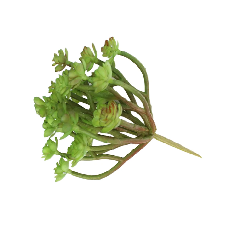 Artificial Succulent Plants Faux Succulent Fake Succulent Picks for Floral Arrangement Home Decoration (Green)
Artificial Succulent Plants Faux Succulent Fake Succulent Picks for Floral Arrangement Home Decoration (Green)