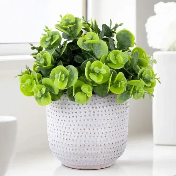 Artificial Plants in Ceramic Planter Cute Lysimachia Fake Succulent Flowers Potted for Home Office
Artificial Plants in Ceramic Planter Cute Lysimachia Fake Succulent Flowers Potted for Home Office