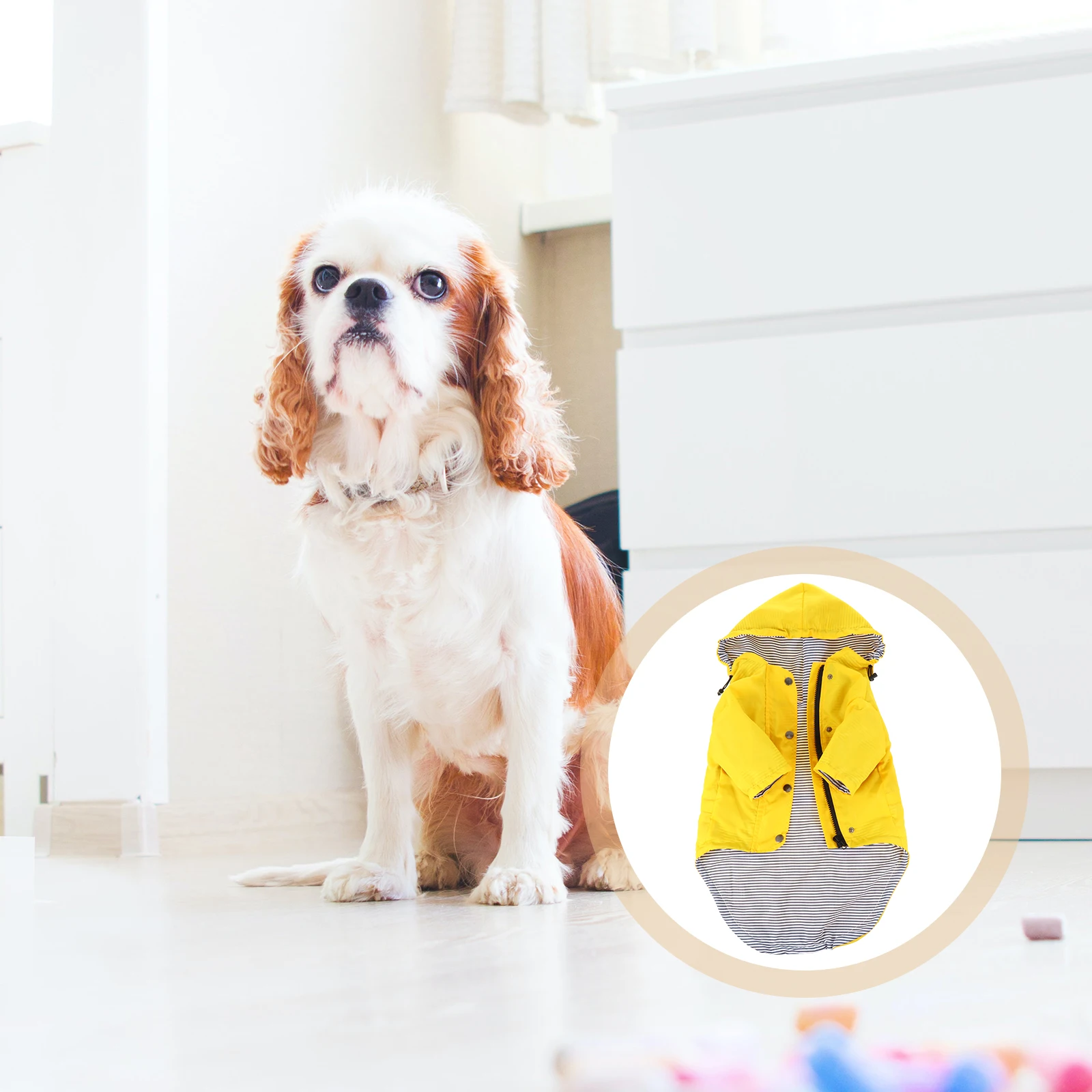 Pet Dog Raincoat Waterproof Stylish Raincoats Useful Halloween Supplies Puppy Yellow Hooded 
Pet Dog Raincoat Waterproof Stylish Raincoats Useful Halloween Supplies Puppy Yellow Hooded