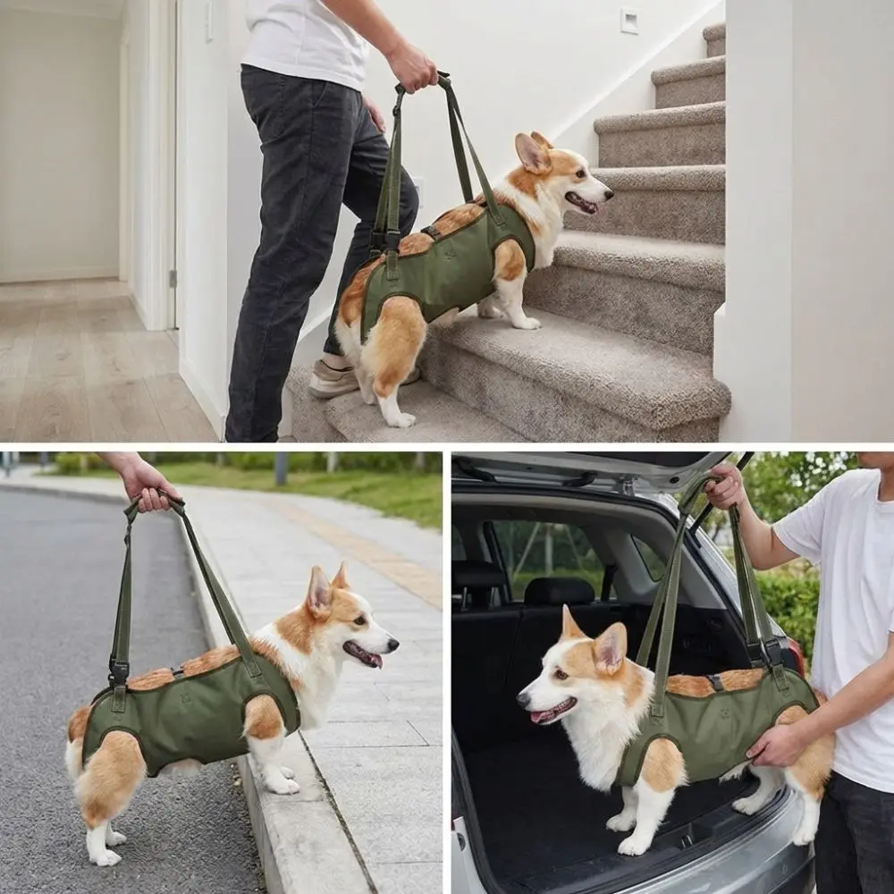 Adjustable Pet Auxiliary Vest Thicken Handle Full Body Support Dog Chest Back Leash Soft Lining Mobility Aid Dog Lift Strap
Adjustable Pet Auxiliary Vest Thicken Handle Full Body Support Dog Chest Back Leash Soft Lining Mobility Aid Dog Lift Strap