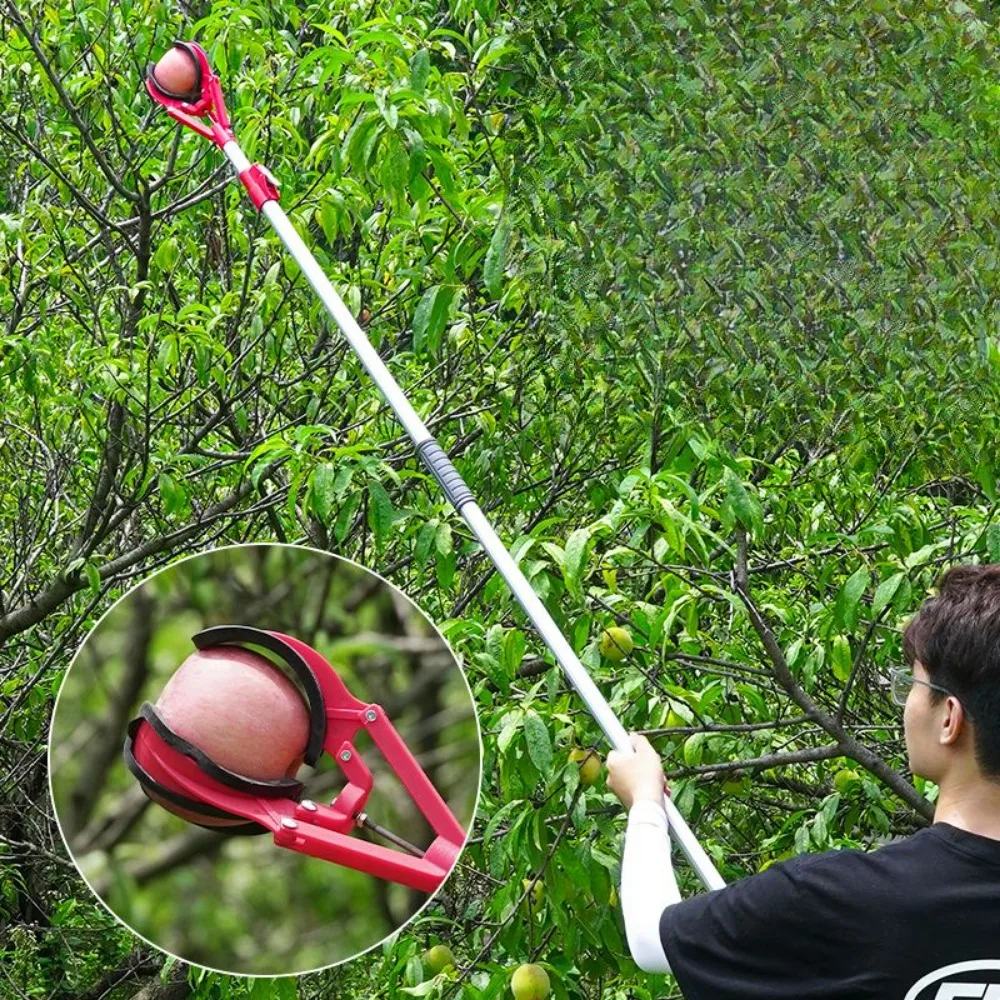 Picking Tool Telescopic Rod Aerial Claw Grab Portable Fruit Picker Professional Gardening Farming Supplies
Picking Tool Telescopic Rod Aerial Claw Grab Portable Fruit Picker Professional Gardening Farming Supplies