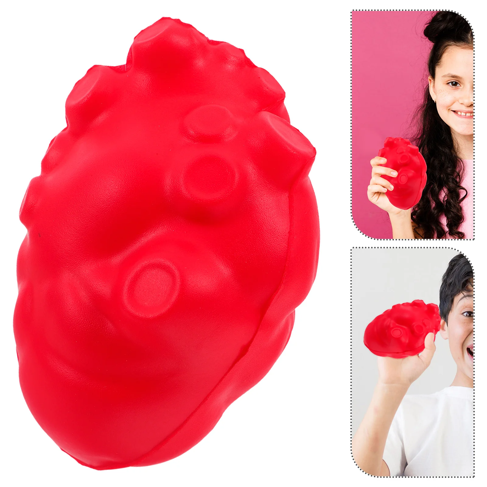 Realistic Human Model Anatomy Toy Fake PU Foam Teaching Tool Props Heart Structure Simulation Medical School Biology Lab
Realistic Human Model Anatomy Toy Fake PU Foam Teaching Tool Props Heart Structure Simulation Medical School Biology Lab