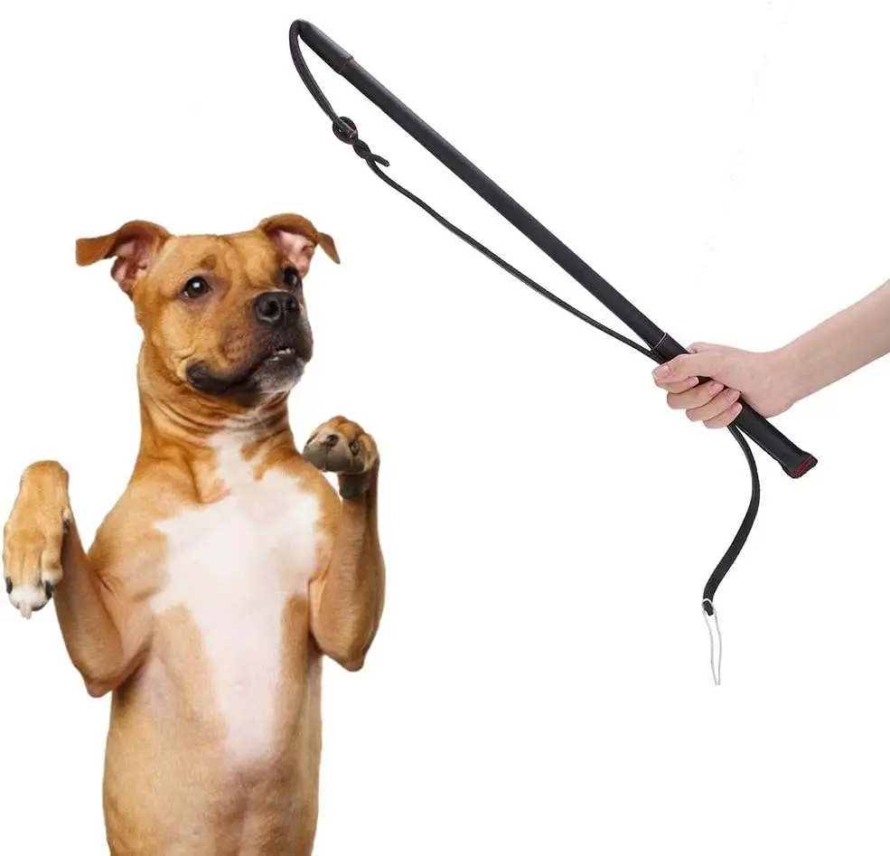 Cowhide Dog Agitation Whip Dog Teaser Wand Dog Training Whip Dog Training Accessories dog toys Genuine leather dog training whip
Cowhide Dog Agitation Whip Dog Teaser Wand Dog Training Whip Dog Training Accessories dog toys Genuine leather dog training whip