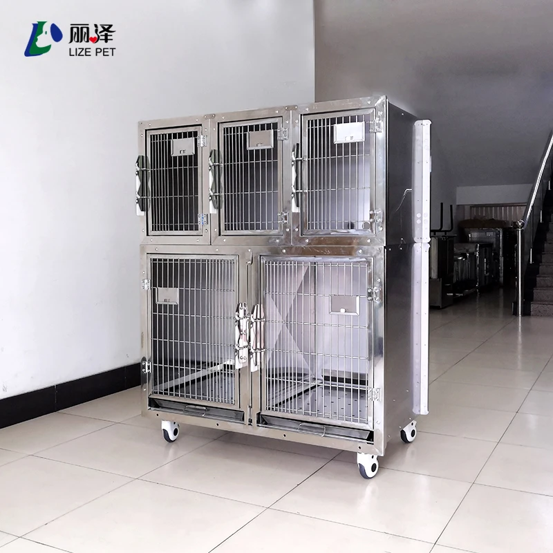 Небольшое ветеринарное оборудование, хит продаж, ветеринарные клетки из нержавеющей стали, птицы, кролики, собаки, деревянные пластиковые переноски, кнопки для дома
Небольшое ветеринарное оборудование, хит продаж, ветеринарные клетки из нержавеющей стали, птицы, кролики, собаки, деревянные пластиковые переноски, кнопки для дома