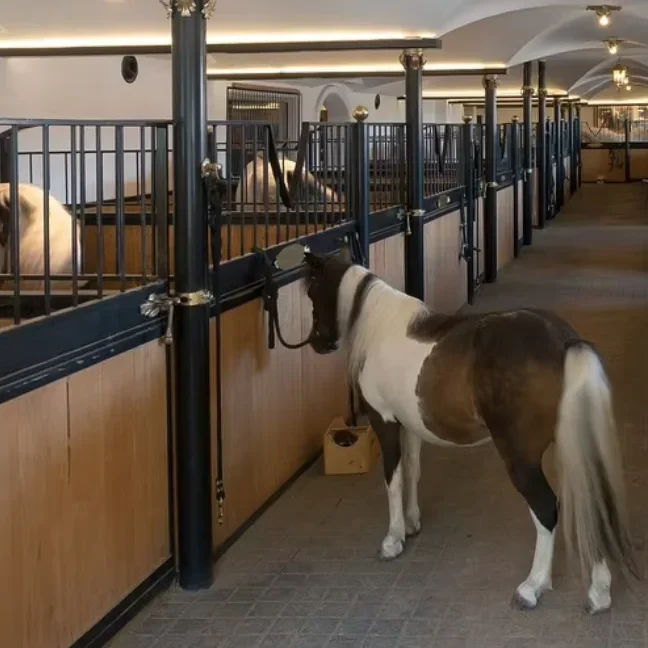 Hot Recommended European Style Horse Tack Easy-to-Keep Low Price Horse Fence for Farms
Hot Recommended European Style Horse Tack Easy-to-Keep Low Price Horse Fence for Farms