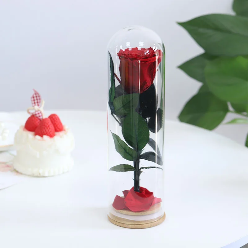 A Grade Preserved Single rose with stem Flower for Mothers Day Birthday Christmas Anniversary Wedding Gift In Glass
A Grade Preserved Single rose with stem Flower for Mothers Day Birthday Christmas Anniversary Wedding Gift In Glass