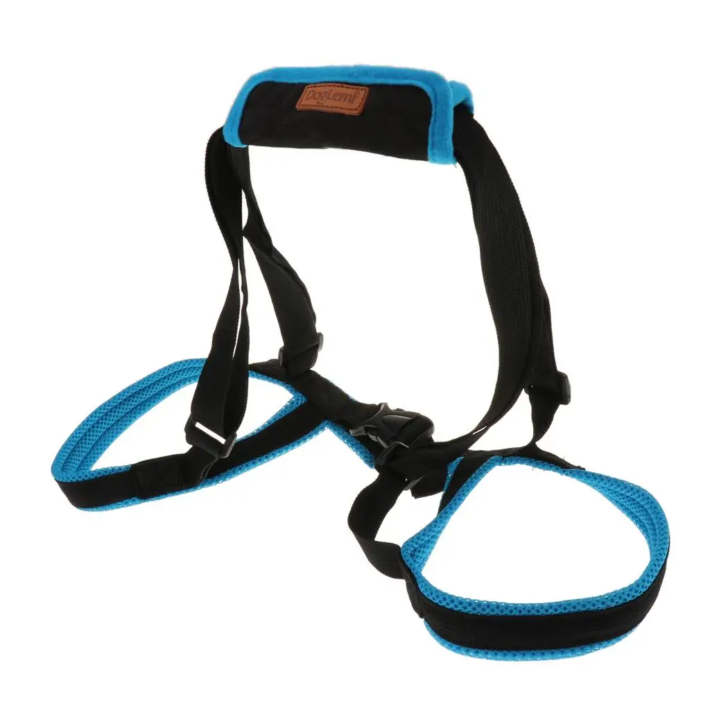 Breathable Sandwich Mesh Dog Harness Lift Support Mobility Aid for Elderly Injured or Disabled Dogs Rehabilitation Assistance
Breathable Sandwich Mesh Dog Harness Lift Support Mobility Aid for Elderly Injured or Disabled Dogs Rehabilitation Assistance