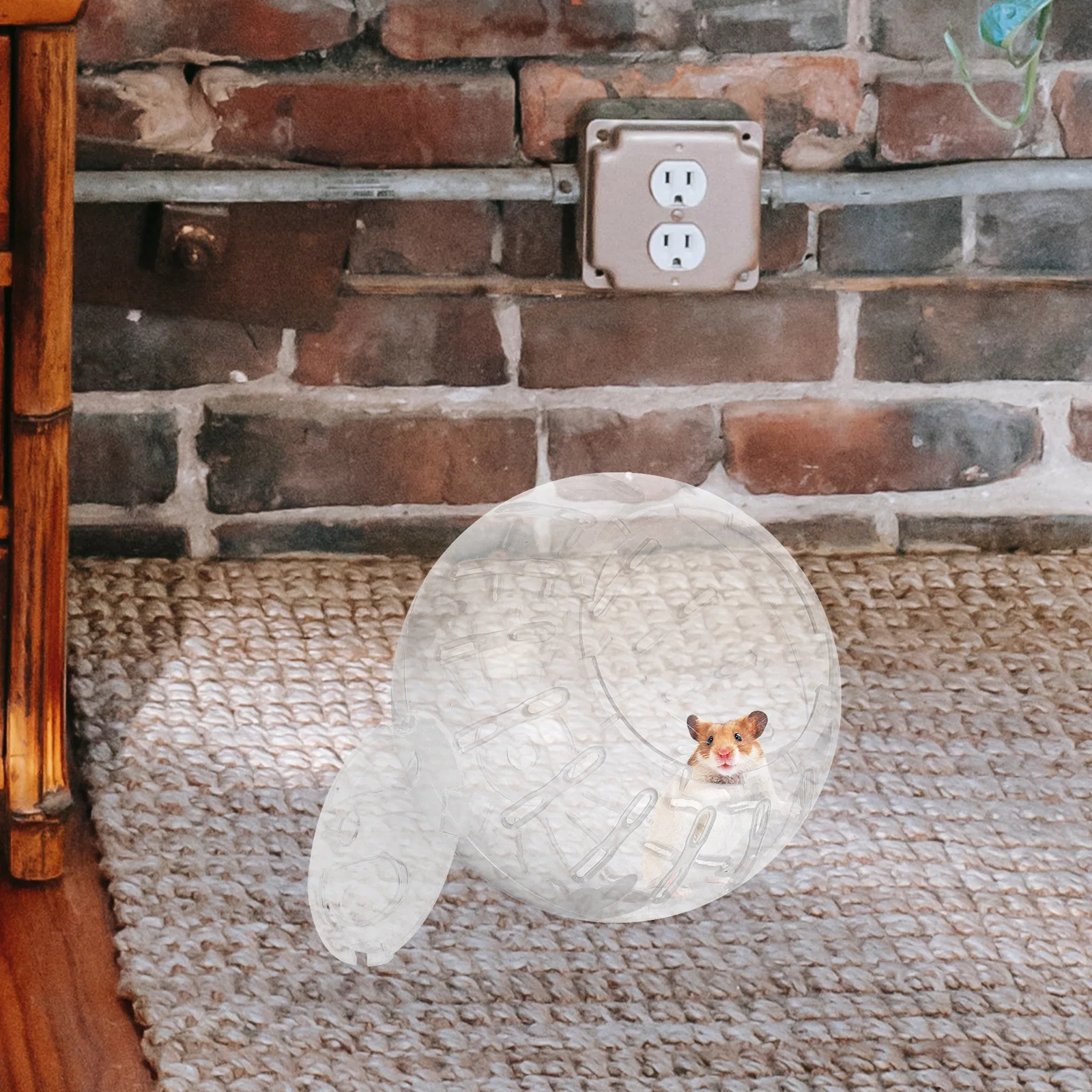 Hamster Toy Pet Supplies Exercise Balls for Guinea Pig Cage Rat Small Plastic Dwarf Running Stuff
Hamster Toy Pet Supplies Exercise Balls for Guinea Pig Cage Rat Small Plastic Dwarf Running Stuff