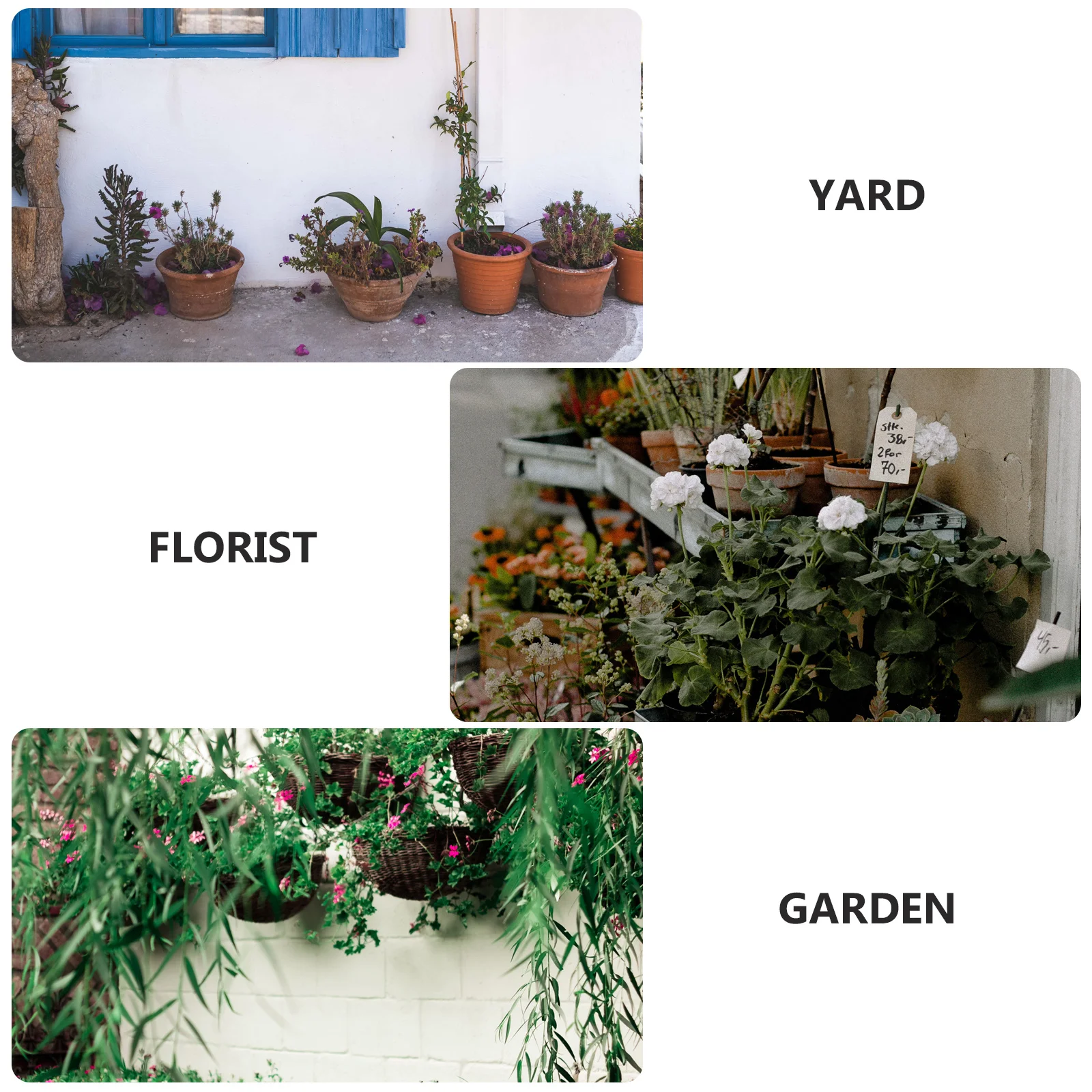 1set Pulp Seedling Pots Biodegradable Planting Cups Garden Nursery Starter Containers Moisture Proof Warmth Retaining For
1set Pulp Seedling Pots Biodegradable Planting Cups Garden Nursery Starter Containers Moisture Proof Warmth Retaining For