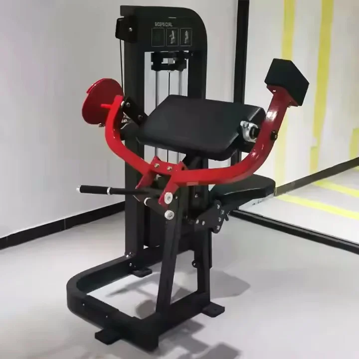 Commercial Pin Loaded Selection Gym Equipment Sport Strength Training Seated Dual Function Triceps Machine Biceps Curl Machine
Commercial Pin Loaded Selection Gym Equipment Sport Strength Training Seated Dual Function Triceps Machine Biceps Curl Machine