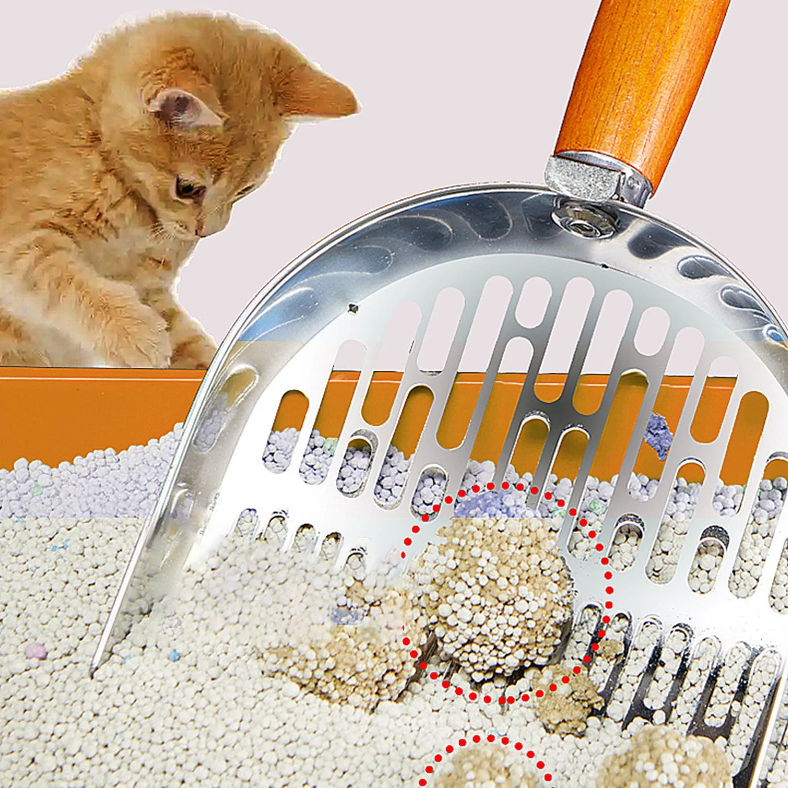 Stainless Steel Scoop with Wooden Handle Portable Cleaning Tool Gift for Friend Family Cat Lovers
Stainless Steel Scoop with Wooden Handle Portable Cleaning Tool Gift for Friend Family Cat Lovers