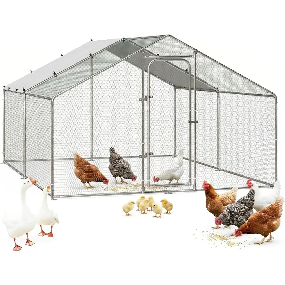 Sturdy Spire-Shaped Metal Chicken Coop with Waterproof & UV-Resistant Cover for Outdoor Use
Sturdy Spire-Shaped Metal Chicken Coop with Waterproof & UV-Resistant Cover for Outdoor Use