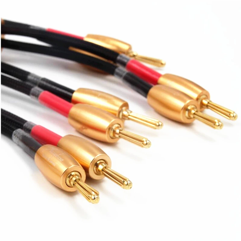 Accuphase 24-каратный позолоченный штекер типа «банан» Hi-Fi акустический кабель Hi-end акустический провод для усилителя и компакт-дисков
Accuphase 24-каратный позолоченный штекер типа «банан» Hi-Fi акустический кабель Hi-end акустический провод для усилителя и компакт-дисков
