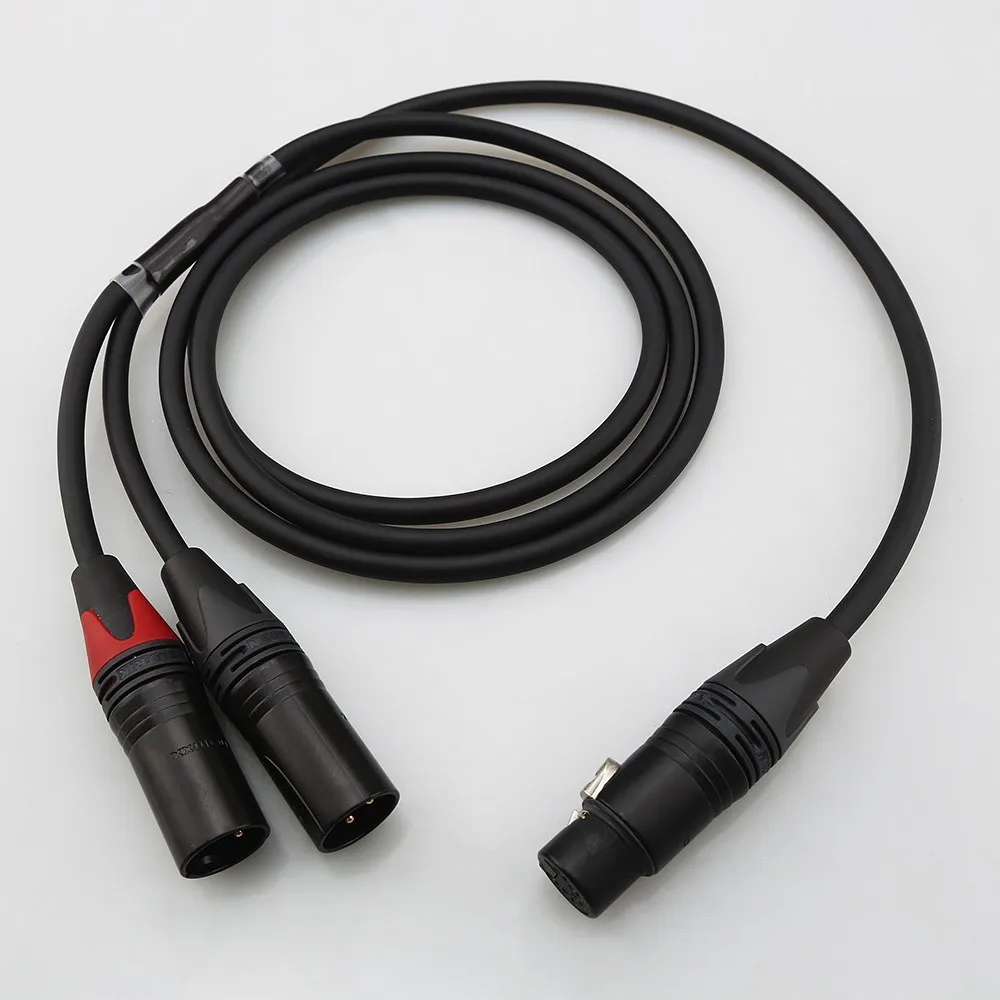 5Pin XLR Female to Dual 3Pin XLR Male Y Splitter Cable Neutrik Connector Balanced HiFi Audio Interconnect Wire
5Pin XLR Female to Dual 3Pin XLR Male Y Splitter Cable Neutrik Connector Balanced HiFi Audio Interconnect Wire