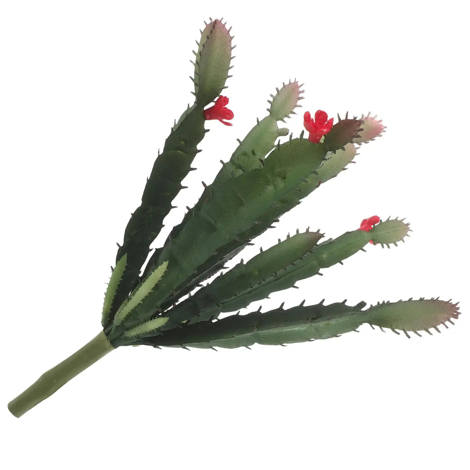 Small Potted Plants Succulent Home Office Decor Realistic Fake Cactus Plastic Flower Mini Desk Plant OrnamentPlant
Small Potted Plants Succulent Home Office Decor Realistic Fake Cactus Plastic Flower Mini Desk Plant OrnamentPlant