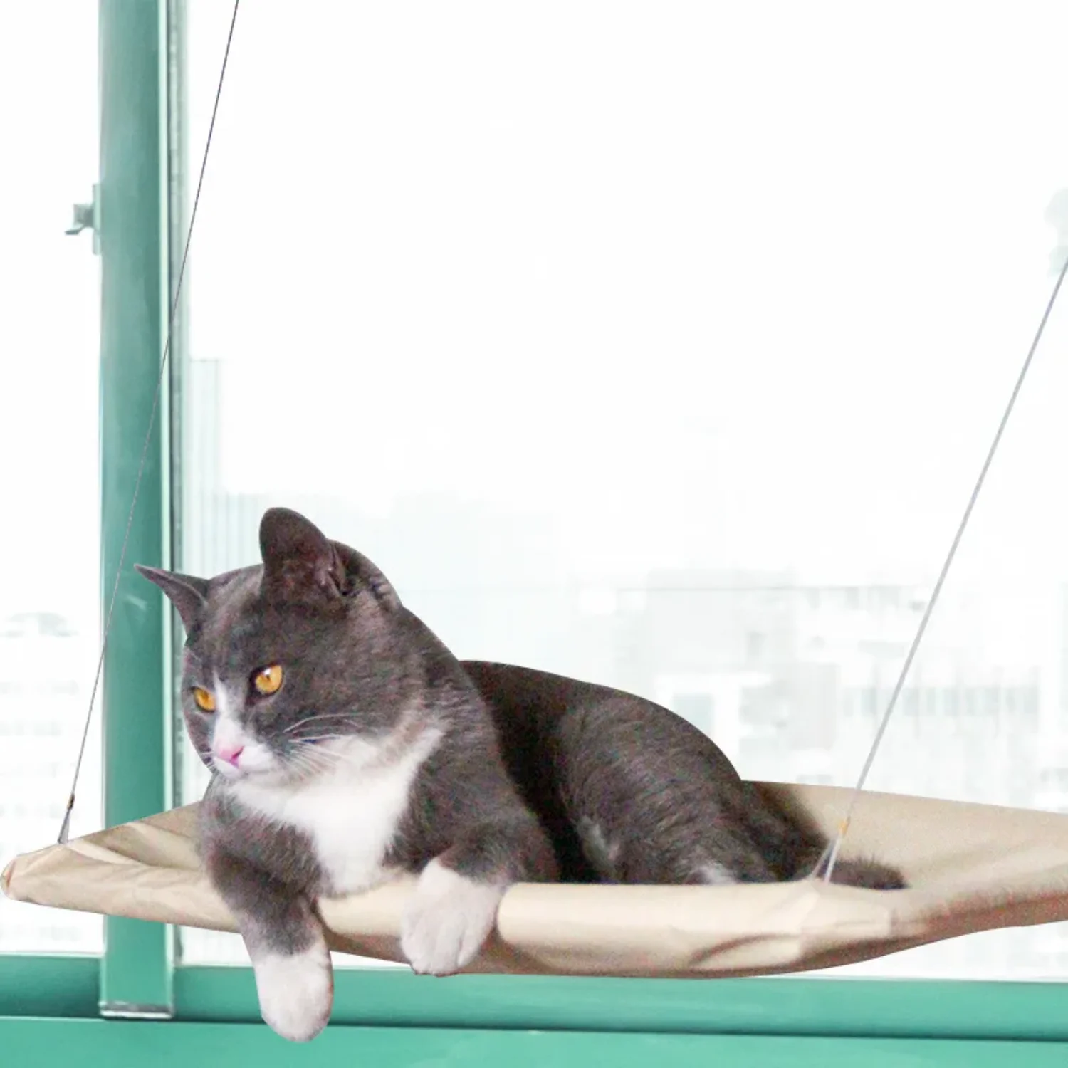 Cat Hammock Window Hanger Washable Pet Bed Suction Shelf - Cat Sleeping Supplies
Cat Hammock Window Hanger Washable Pet Bed Suction Shelf - Cat Sleeping Supplies