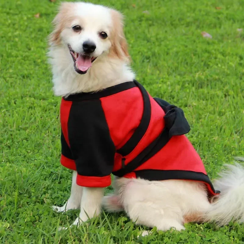 Pet Transformation Costume Dog Cotton Clothes for Small and Medium Dogs Autumn Winter Fleece Lined Warm Down Parkas
Pet Transformation Costume Dog Cotton Clothes for Small and Medium Dogs Autumn Winter Fleece Lined Warm Down Parkas
